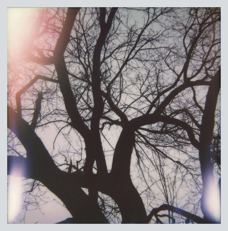 © Carolina Echeverri - "Can you see the fireworks" - Polaroid 600 Film