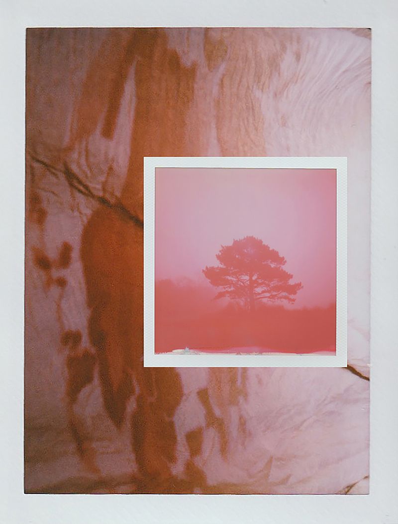 © Carolina Echeverri - Image from the Our Great Symbols Are Empty photography project
