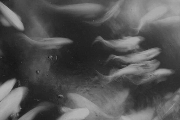 © Sophie Gabrielle - Image from the BL_NK SP_CE photography project