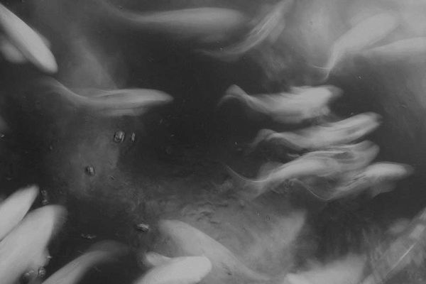 © Sophie Gabrielle - Image from the BL_NK SP_CE photography project