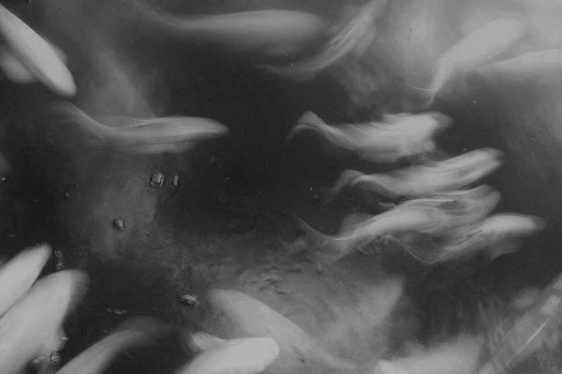 © Sophie Gabrielle - Image from the BL_NK SP_CE photography project