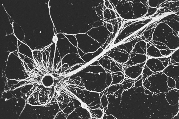 © Sophie Gabrielle - Image from the BL_NK SP_CE photography project