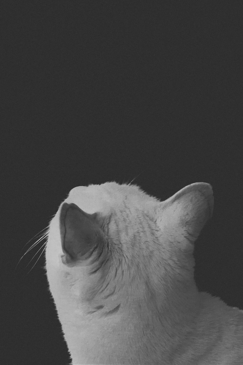 © Sophie Gabrielle - Image from the BL_NK SP_CE photography project