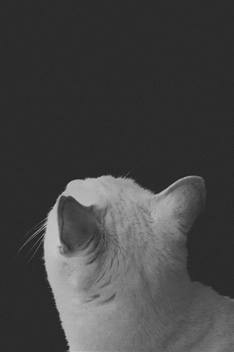 © Sophie Gabrielle - Image from the BL_NK SP_CE photography project