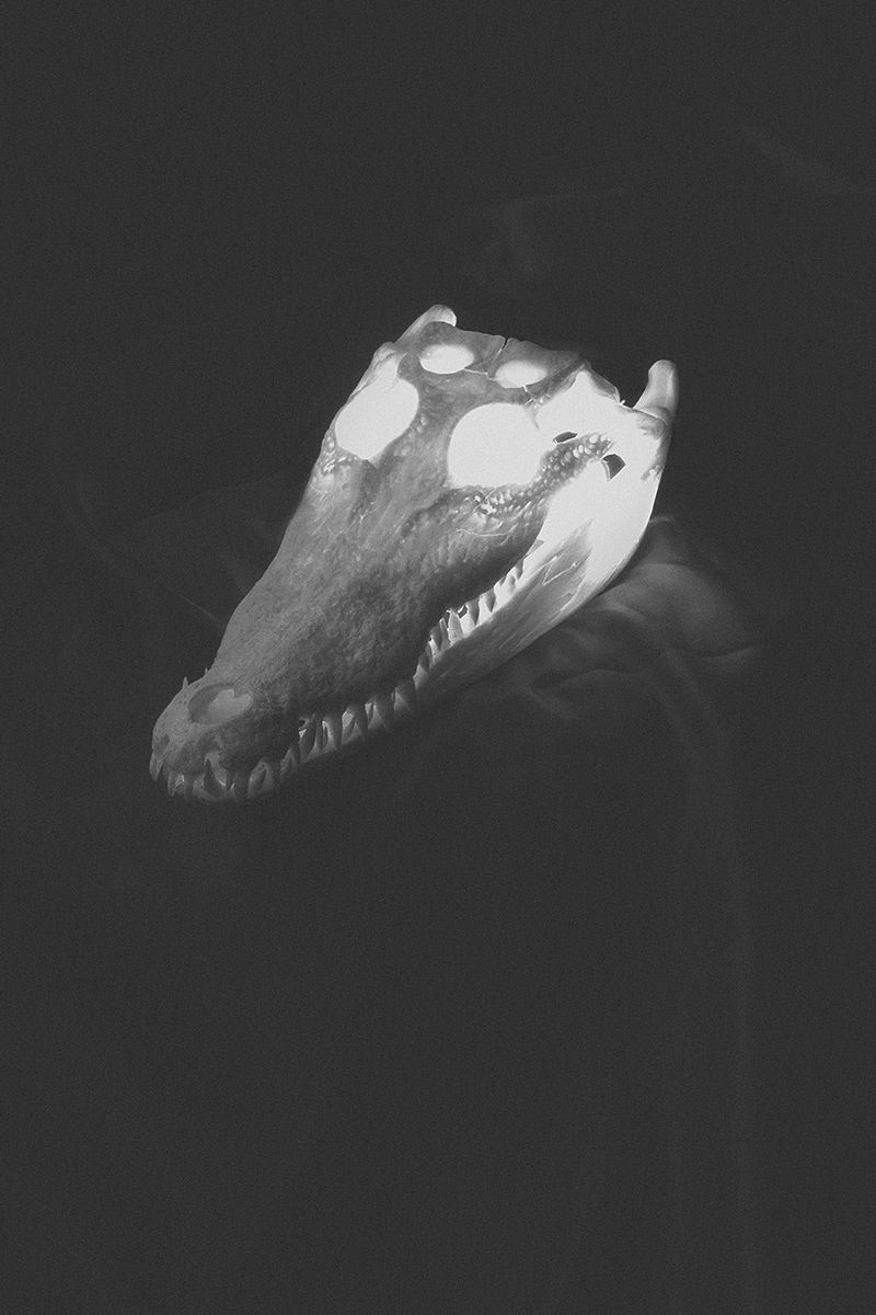 © Sophie Gabrielle - Image from the BL_NK SP_CE photography project
