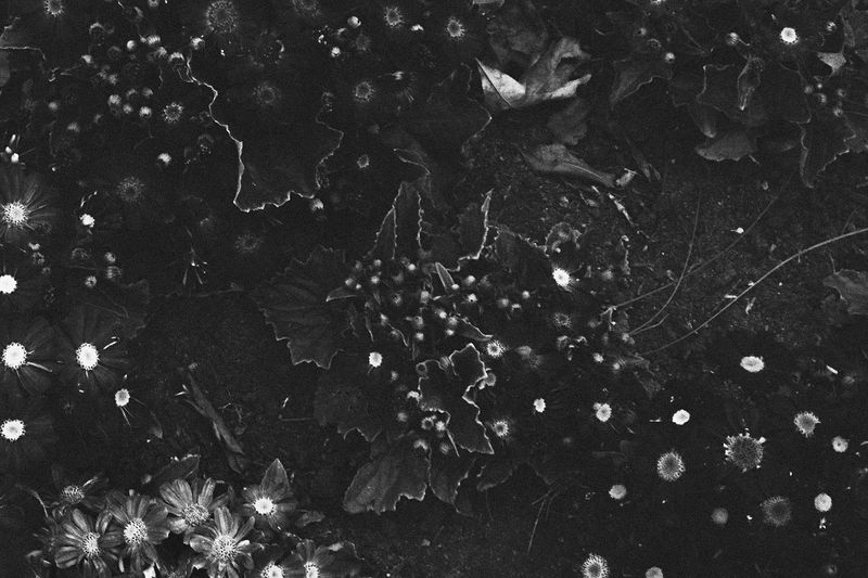 © Sophie Gabrielle - Image from the BL_NK SP_CE photography project