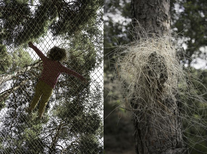 © Alex Llovet - Image from the Beware Of The Dog photography project
