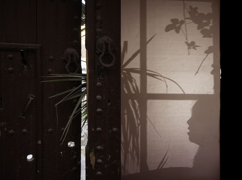 © Alex Llovet - Image from the Beware Of The Dog photography project