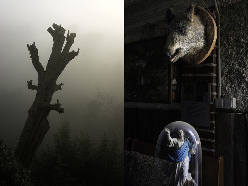 © Alex Llovet - Image from the Beware Of The Dog photography project