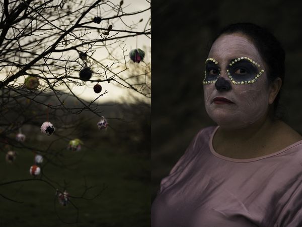 © Alex Llovet - Image from the Beware Of The Dog photography project