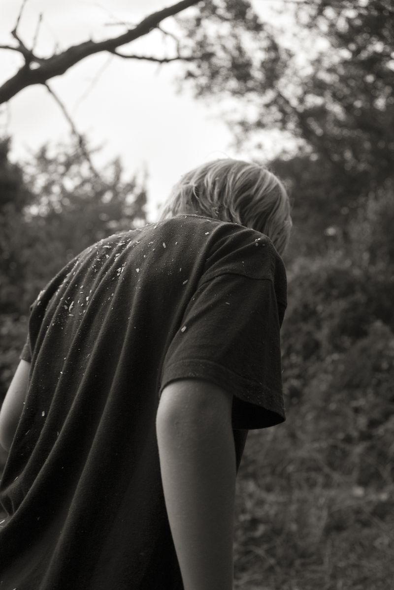 © Alex Llovet - Small tree fragments