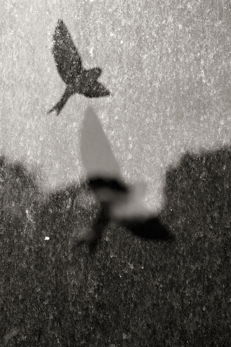 © Alex Llovet - In and through, for 1/8000 s