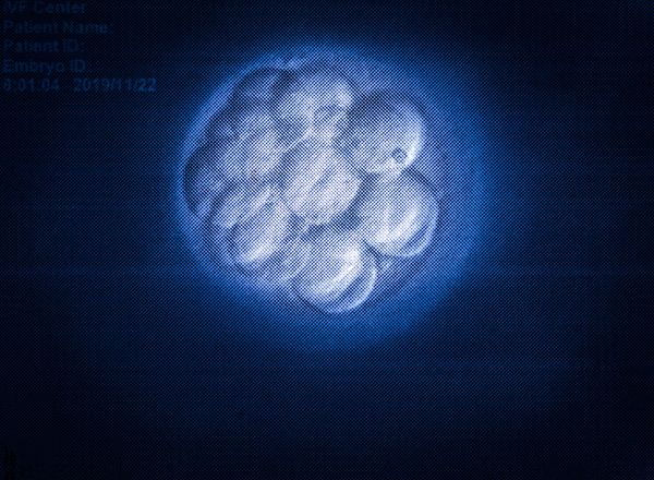 © Mayumi Suzuki - Image from the HOJO photography project