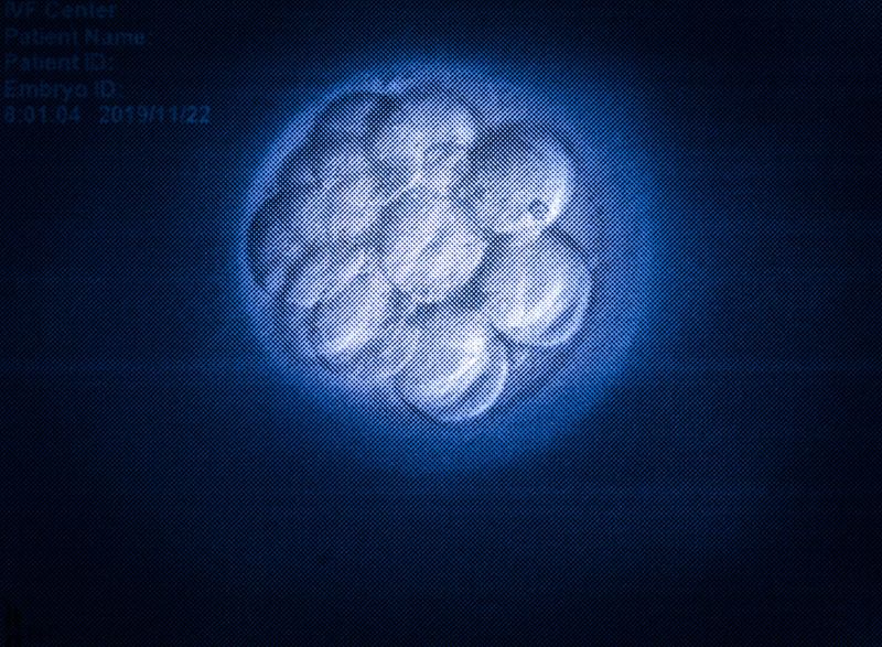 © Mayumi Suzuki - Image from the HOJO photography project