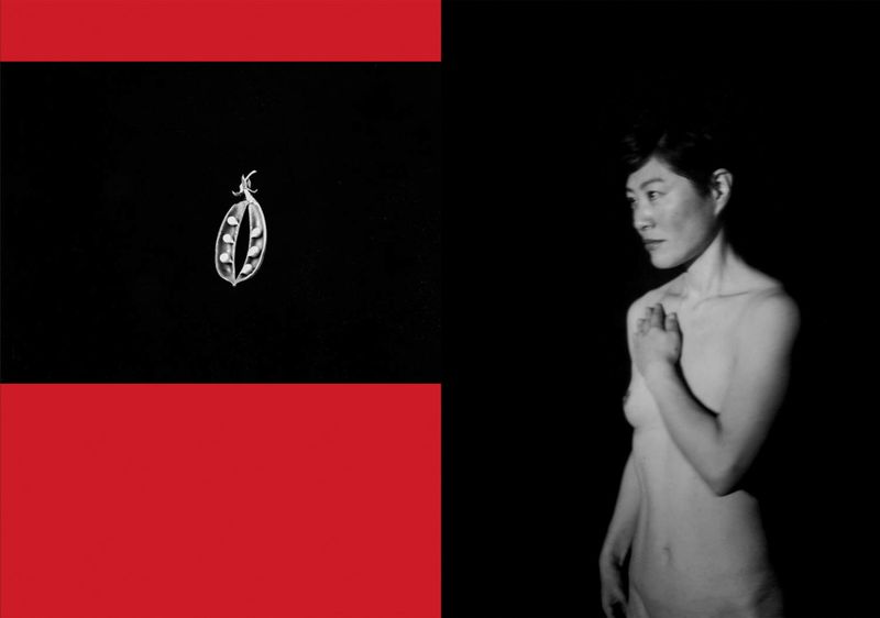 © Mayumi Suzuki - Image from the HOJO photography project