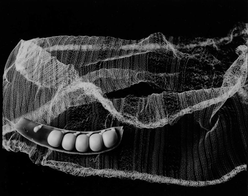 © Mayumi Suzuki - Image from the HOJO photography project