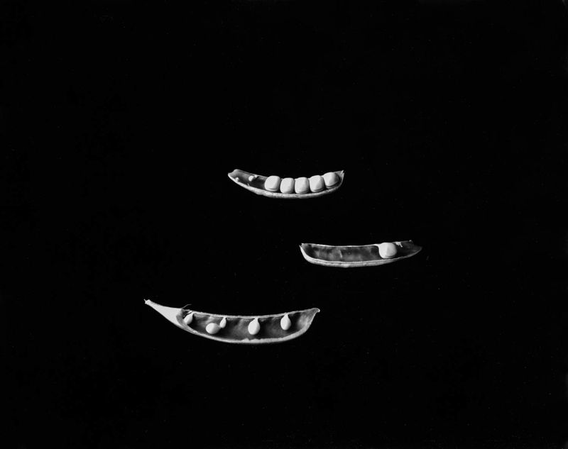 © Mayumi Suzuki - Image from the HOJO photography project