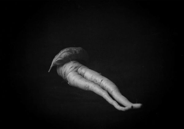 © Mayumi Suzuki - Image from the HOJO photography project