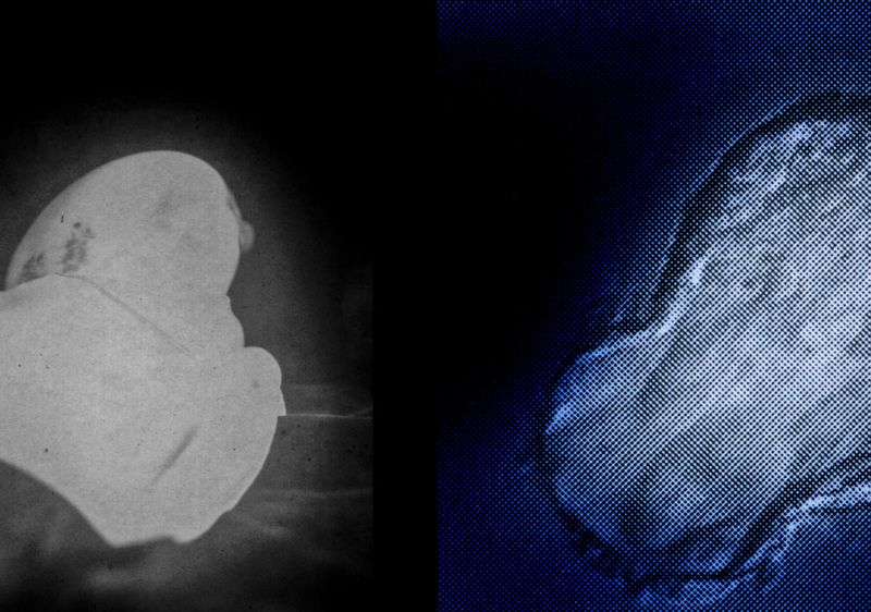 © Mayumi Suzuki - Image from the HOJO photography project