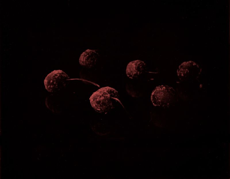 © Mayumi Suzuki - Image from the HOJO photography project