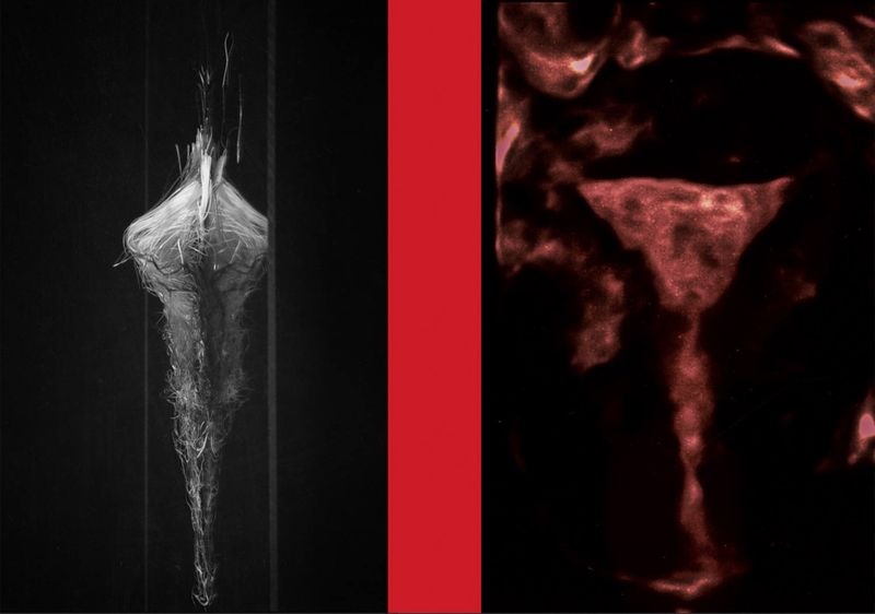 © Mayumi Suzuki - Image from the HOJO photography project