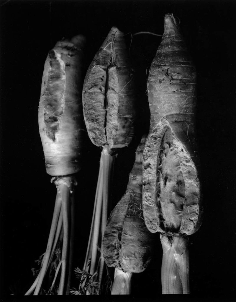 © Mayumi Suzuki - Image from the HOJO photography project