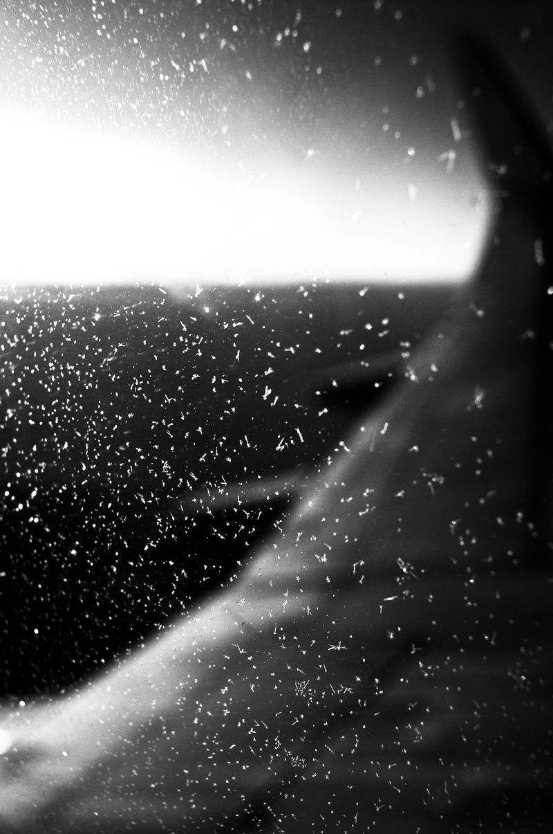 © ELENA SOL - Image from the OUAS photography project