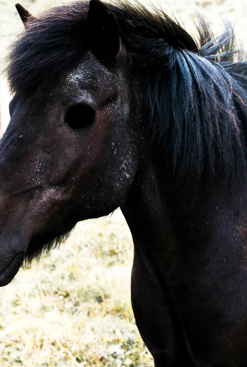 © ELENA SOL - Image from the OUAS photography project