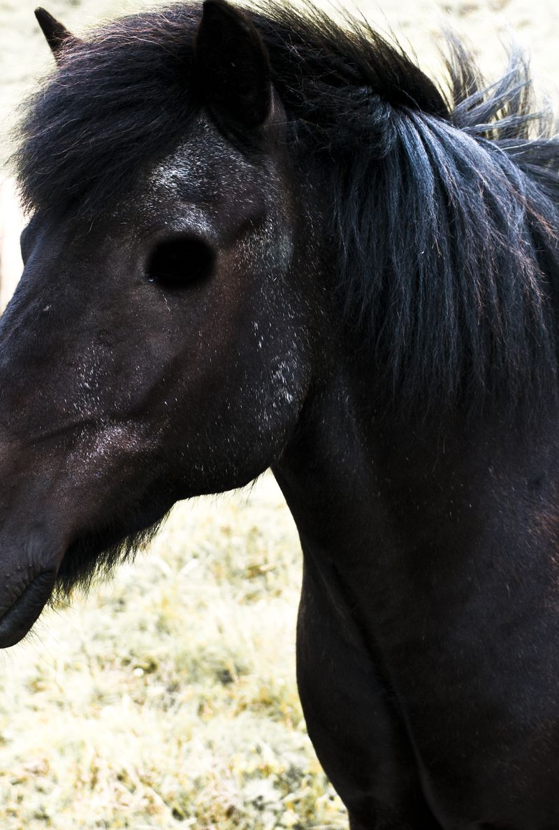 © ELENA SOL - Image from the OUAS photography project