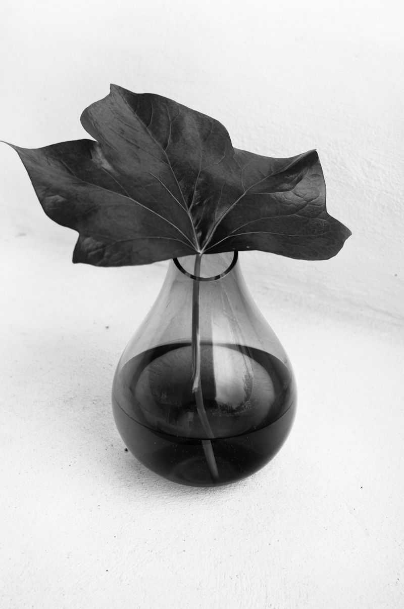 © ELENA SOL - Image from the OUAS photography project