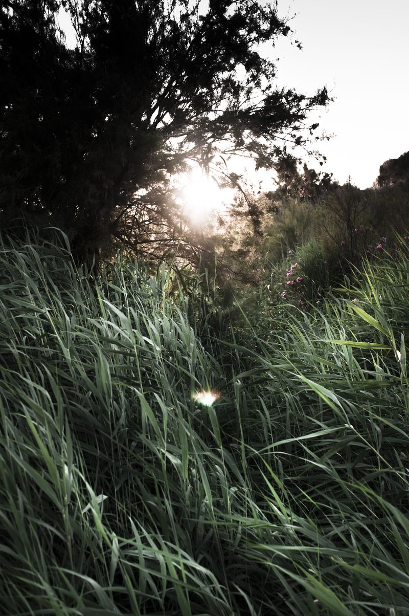© ELENA SOL - Image from the OUAS photography project