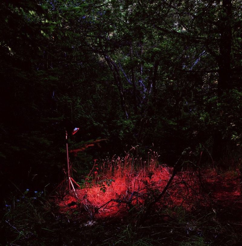 © Ananké Asseff - No esta hecho para sufrir Fotografia directa 120 x 120cm 2009