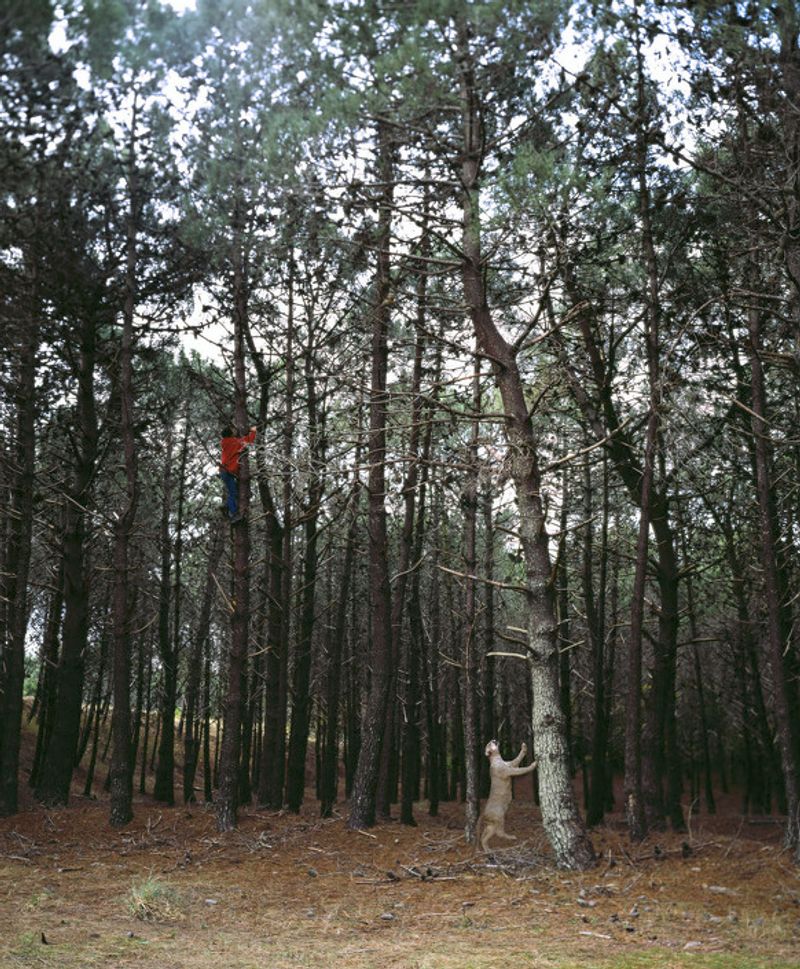 © Ananké Asseff - Sin título (Corrimientos ) FOTOGRAFIA directa. 127x160cm 2010.