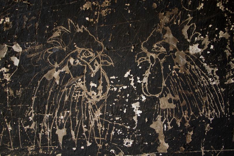 © Carlos Pozo Alban - Image from the Páramo photography project