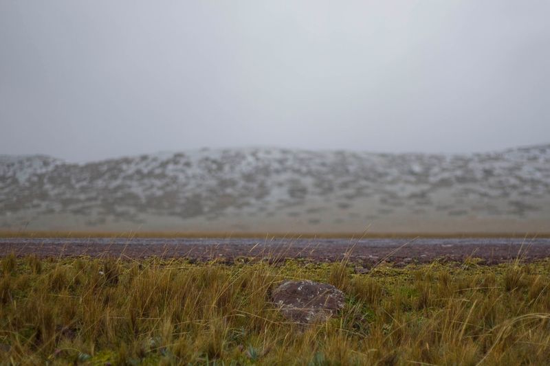 © Carlos Pozo Alban - Image from the Páramo photography project