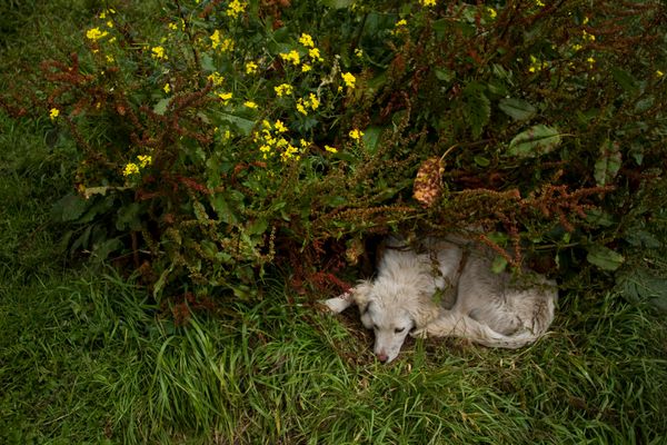 © Carlos Pozo Alban - Image from the Páramo photography project