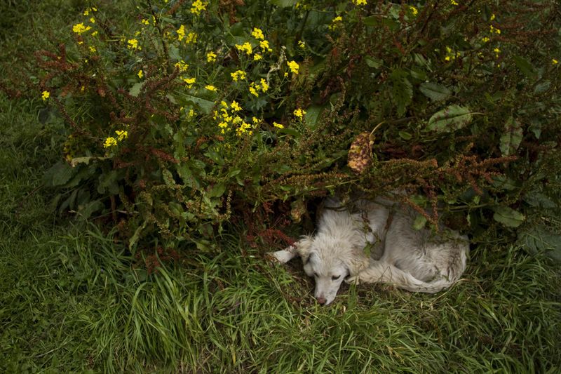 © Carlos Pozo Alban - Image from the Páramo photography project