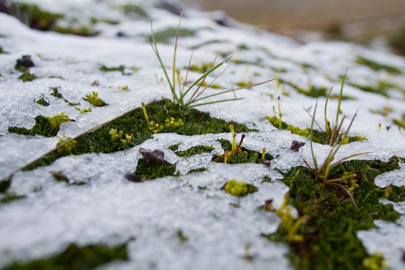 © Carlos Pozo Alban - Image from the Páramo photography project