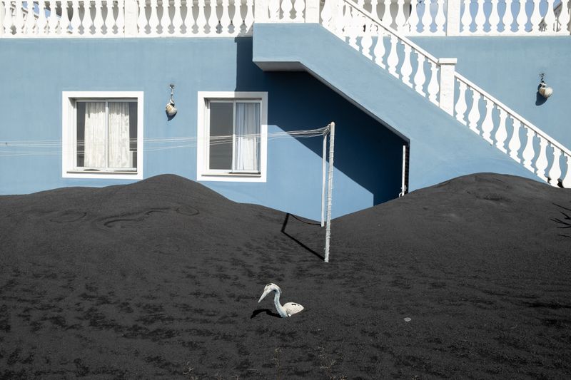 © Kinga Wrona - Image from the "85" photography project