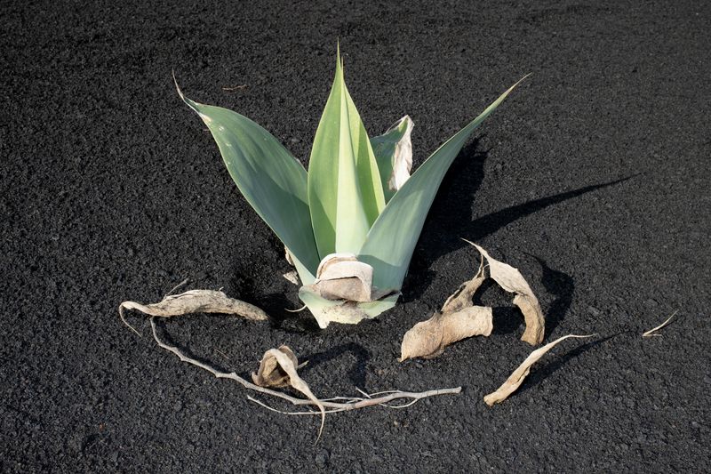 © Kinga Wrona - Image from the "85" photography project