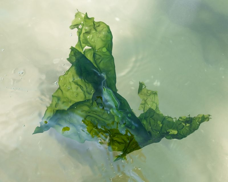 © Kinga Wrona - Image from the Mariscadoras photography project