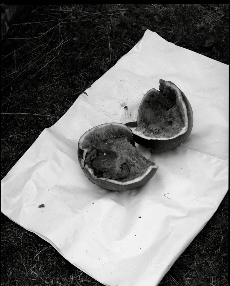 © Minami Ivory - Image from the Sliding Shadow photography project