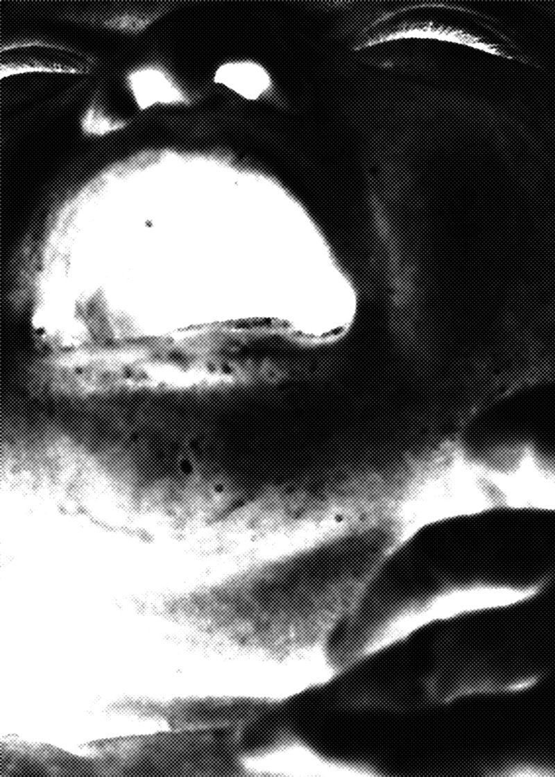© Minami Ivory - Image from the Sliding Shadow photography project