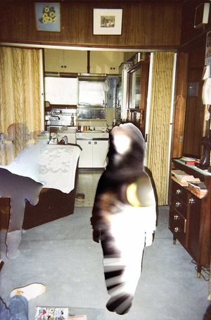 Sliding Shadow