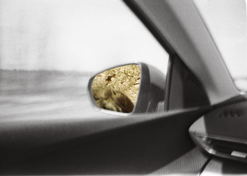 © Minami Ivory - Image from the Sliding Shadow photography project