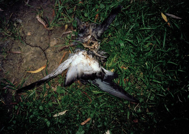 © Jacek Kloskowski - Image from the Circular Motion photography project