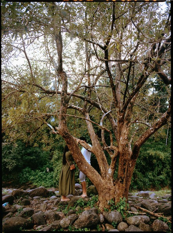 © KEERTHANA KUNNATH - Image from the Naadu (Homeland) photography project