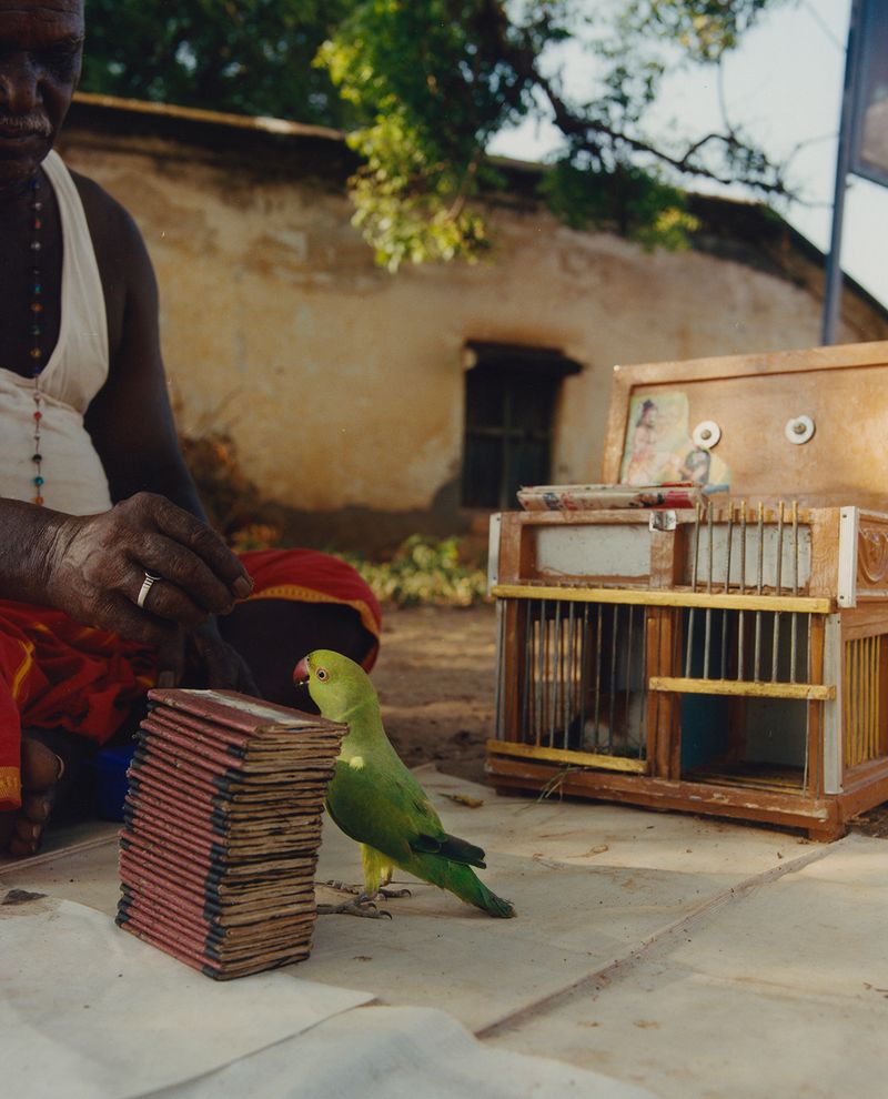 © KEERTHANA KUNNATH - Image from the Joy of small things photography project