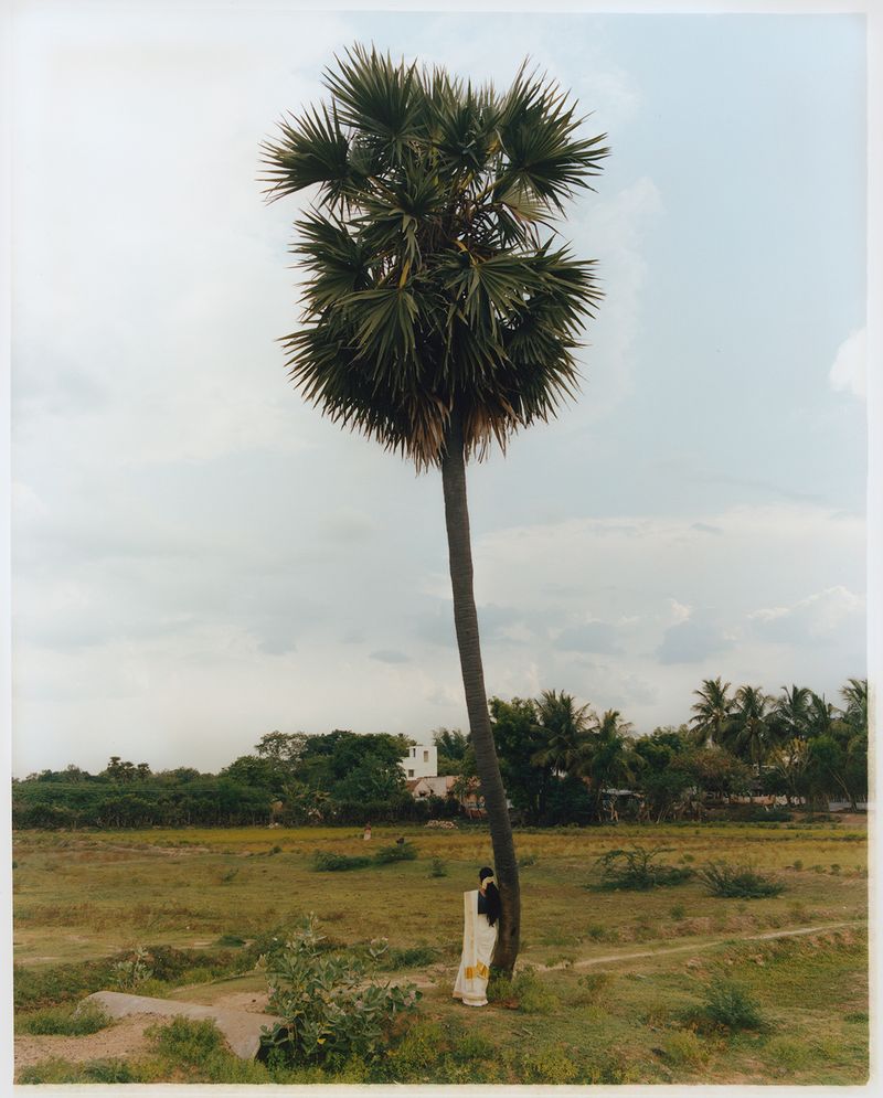 © KEERTHANA KUNNATH - Mother and the palm