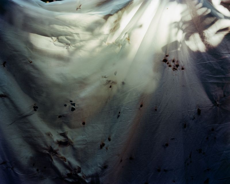 © Mario de la Ossa - White sheet